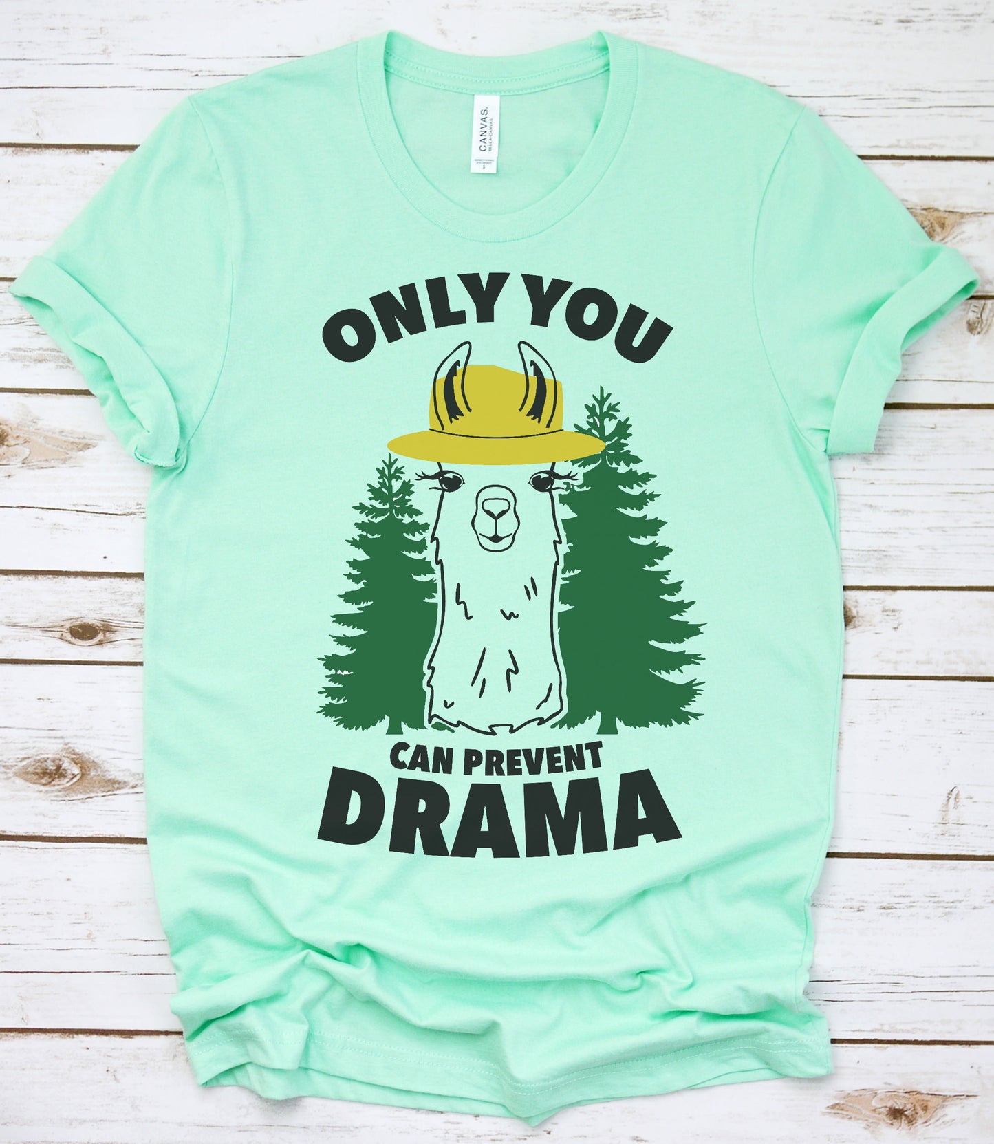 Only You Can Prevent Drama Graphic Tee